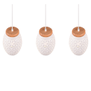 Trio TR31573031 mennyezeti függőlámpa Bidar E27