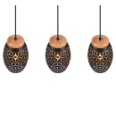 Trio TR31573080 mennyezeti függőlámpa Bidar E27