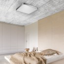 Zuma Line 003064-009110 LED mennyezetre szerelhető lámpa SIERRA integrált LED forrás