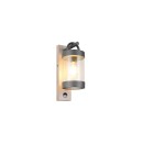 Trio T204169135 kültéri fali lámpa SAMBESI  E27