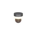 Trio T230561142 LED kültéri fali lámpa MACKENZIE  | 8W integrált LED forrás | 800lm | 3000K