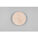 Trio 234510101 LED fali lámpa ROBIN | 4W integrált LED forrás | 370lm | 3000K