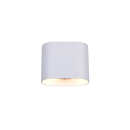 Trio T266100131 kültéri fali lámpa ALANI  | 5W G9 | fehér | fehér