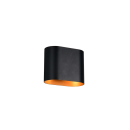 Trio T266100180 kültéri fali lámpa ALANI  | 5W G9 | fekete | aranyszínű | aranyszínű