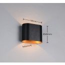 Trio T266100180 kültéri fali lámpa ALANI  | 5W G9 | fekete | aranyszínű | aranyszínű