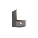 Trio 270669142 LED kültéri fali lámpa mozgásérzékelővel Avon 1x6W | 600lm | 3000K | IP54 - állítható, orientációs lámpa, antracit