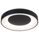 Rabalux 3082 LED mennyezeti lámpa Ceilo 1x38W | 3200lm | 3000-6500K - szabályozható, távirányító, fekete