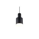 Trio T319400132 mennyezeti függőlámpa AGUDO  E27