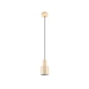 Trio T319400144 mennyezeti függőlámpa AGUDO  E27