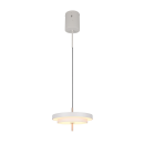 Trio T340219176 LED mennyezeti függőlámpa KEATON  | 34W integrált LED forrás | 1x4000lm | 2300+3000+4000K | a kábelen | Trio - SwitchDimmer | szürke
