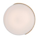 Rabalux 3527 LED mennyezeti lámpa Maple 1x24W | 1890lm | 3000K - fa, fehér