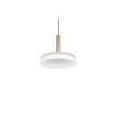 Trio T354910165 LED mennyezeti függőlámpa CELESTE  | 10W integrált LED forrás | 1100lm | 3000K