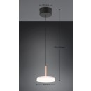 Trio T354910165 LED mennyezeti függőlámpa CELESTE  | 10W integrált LED forrás | 1100lm | 3000K