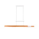 Trio T375390531 LED mennyezeti függőlámpa TRAJAN | 45W integrált LED forrás | 5300lm | 2700-5000K