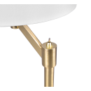 Trio 514400108 asztali lámpa Cassio 1x60W | E27 - sárgaréz, fehér