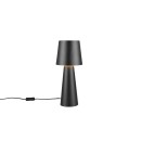 Trio T562900132 asztali lámpa NUBIAN  E27