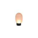 Trio T564210113 LED asztali lámpa FACETTE | 1,5W integrált LED forrás