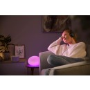 Philips Hue 8719514343481 asztali lámpa Flourish 1x9,5W | E27 | 570-800lm | 2000-6500K - White and Color Ambiance, szabályozható, Bluetooth, fehér