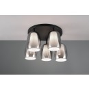 Trio SELECT  T617500554 mennyezetre szerelhető lámpa BARRET   E14