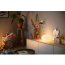 Philips Hue 8719514343481 asztali lámpa Flourish 1x9,5W | E27 | 570-800lm | 2000-6500K - White and Color Ambiance, szabályozható, Bluetooth, fehér