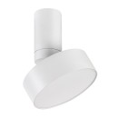 Rabalux 98071327 LED mennyezetre szerelhető lámpa Ovidia  | 16W integrált LED forrás | 800lm | 3000K