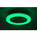 Rabalux 98071333 LED ventilátor világítással Dalfon2  | 48W integrált LED forrás | 3500lm | 3000-6500K