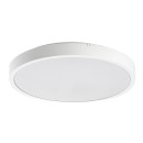 Rabalux 98071426 LED kültéri mennyezeti lámpa Alenzo  | 18W integrált LED forrás | 1250lm | 3000+4000+6500K