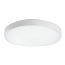 Rabalux 98071426 LED kültéri mennyezeti lámpa Alenzo  | 18W integrált LED forrás | 1250lm | 3000+4000+6500K