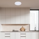 Rabalux 98071427 LED kültéri mennyezeti lámpa Alenzo | 24W integrált LED forrás | 1600lm | 3000+4000+6500K