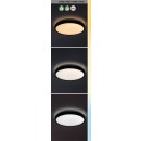 Rabalux 98071428 LED kültéri mennyezeti lámpa Alenzo  | 24W integrált LED forrás | 1530lm | 3000-6000K