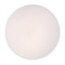 Rabalux 98071430 LED kültéri mennyezeti lámpa Alenzo  | 36W integrált LED forrás | 2450lm | 3000-6000K