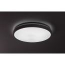 Rabalux 98071431 LED kültéri mennyezeti lámpa Alenzo  | 36W integrált LED forrás | 2450lm | 3000-6000K