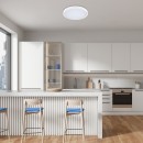 Rabalux 98071431 LED kültéri mennyezeti lámpa Alenzo  | 36W integrált LED forrás | 2450lm | 3000-6000K