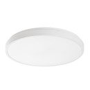 Rabalux 98071431 LED kültéri mennyezeti lámpa Alenzo  | 36W integrált LED forrás | 2450lm | 3000-6000K