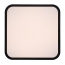 Rabalux 98071432 LED kültéri mennyezeti lámpa Alenzo  | 24W integrált LED forrás | 1450lm | 3000+4000+6500K