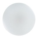Rabalux 71442 LED mennyezetre szerelhető lámpa Danny2 | 34W integrált LED forrás | 2800lm | 3000-6500K | távirányítás | fényerőszabályzó | fehér