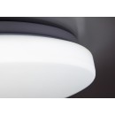 Rabalux 71442 LED mennyezetre szerelhető lámpa Danny2 | 34W integrált LED forrás | 2800lm | 3000-6500K | távirányítás | fényerőszabályzó | fehér