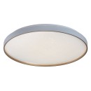 Rabalux 71453 LED mennyezetre szerelhető lámpa Zerava | 60W integrált LED forrás | 4100lm | 3000-6500K | távirányítás | fényerőszabályzó | aranyszínű