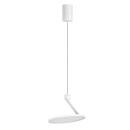 Rabalux 98072328 LED mennyezeti függőlámpa Ovidia  | 20W integrált LED forrás | 1300lm | 3000K