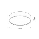 Rabalux 98075011 LED mennyezetre szerelhető lámpa Larcia | 19W integrált LED forrás | 1000lm | 4000K