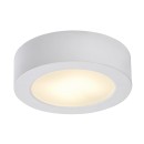 Rabalux 75071 LED kültéri mennyezeti lámpa ShaunPlus | 7W integrált LED forrás | 660lm | 4000K | fehér