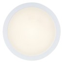 Rabalux 75072 LED kültéri mennyezeti lámpa ShaunPlus | 24W integrált LED forrás | 2600lm | 4000K | fehér