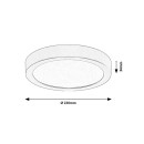 Rabalux 75075 LED kültéri mennyezeti lámpa ShaunPlus | 24W integrált LED forrás | 2600lm | 4000K | fekete