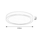 Rabalux 75076 LED kültéri mennyezeti lámpa ShaunPlus | 30W integrált LED forrás | 3000lm | 4000K | fekete