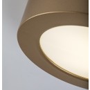 Rabalux 75077 LED kültéri mennyezeti lámpa ShaunPlus | 7W integrált LED forrás | 660lm | 4000K | aranyszínű
