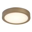Rabalux 75078 LED kültéri mennyezeti lámpa ShaunPlus | 24W integrált LED forrás | 2600lm | 4000K | aranyszínű