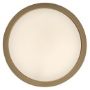 Rabalux 75079 LED kültéri mennyezeti lámpa ShaunPlus | 30W integrált LED forrás | 3000lm | 4000K | aranyszínű