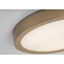 Rabalux 75079 LED kültéri mennyezeti lámpa ShaunPlus | 30W integrált LED forrás | 3000lm | 4000K | aranyszínű