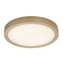 Rabalux 75079 LED kültéri mennyezeti lámpa ShaunPlus | 30W integrált LED forrás | 3000lm | 4000K | aranyszínű