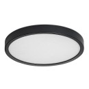 Rabalux 75081 LED kültéri mennyezeti lámpa Maurec | 18W integrált LED forrás | 1575lm | 3000/4000/6000K | antracit